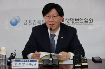 김소영 금융위원회 부위원장이 지난해 11월4일 서울 종로구 정부서울청사에서 열린 제4차 보험개혁 회의를 주재하고 있다. 연합뉴스
