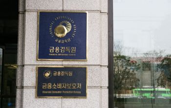 서울 여의도 금융감독원 본사. 금감원 제공