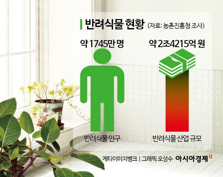 '외로운 시대'… MZ들도 "반려식물 키워요"