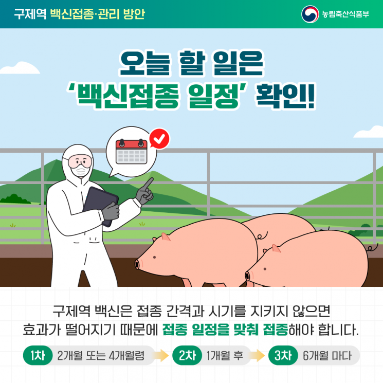 구제역 예방 백신접종 안내 포스터. 파주시 제공