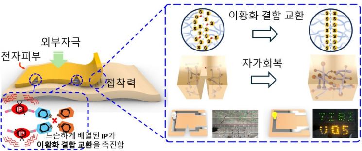 자가 치유 기능을 가진 전자피부의 개략도. 서울시립대 김혁 교수 제공