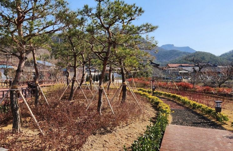 [포토] 장성군, 박산리에 생활밀착형 숲 조성