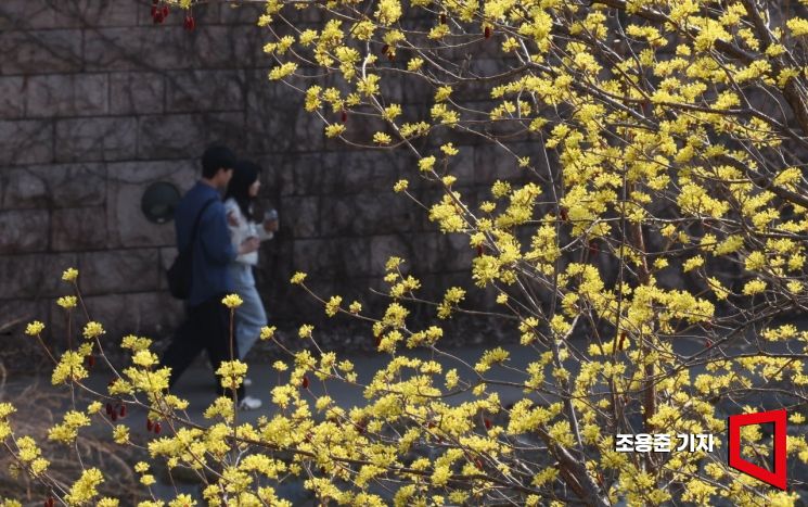 [포토] 산책하기 좋은 계절