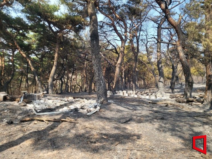 [포토뉴스] 의성 화마가 지나간 천년 고찰 운람사