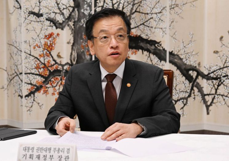최상목 대통령 권한대행 부총리 겸 기획재정부 장관이 24일 정부서울청사에서 대외경제 현안 간담회를 하고 있다. 연합뉴스