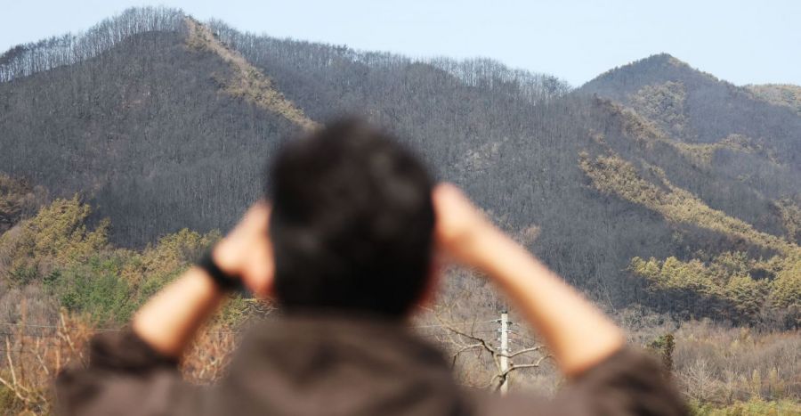 경남 산청군 지역 산불 발생 나흘째인 24일 오전 산청군 시천면 일대 산이 시커멓게 타버린 채 있다. 오른쪽 사진은 경북 의성군 의성초등학교 앞에서 학생들이 마스크를 쓰고 등교하고 있는 모습. 연합뉴스