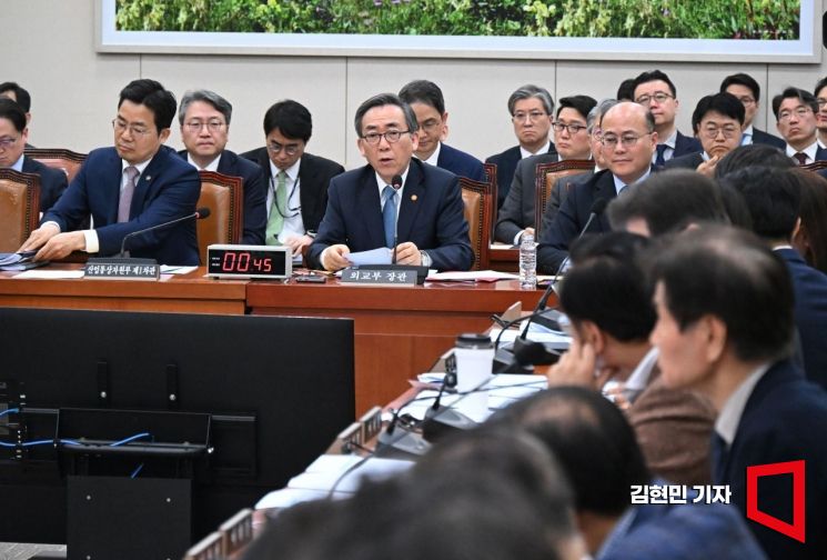 [포토] 조태열 "한국은 민감국가 '기타' 등급…테러 초점 1,2등급과 차이"
