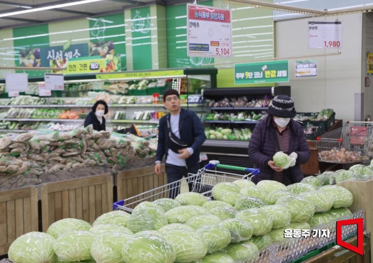 [포토] 배추값 넘어선 양배추