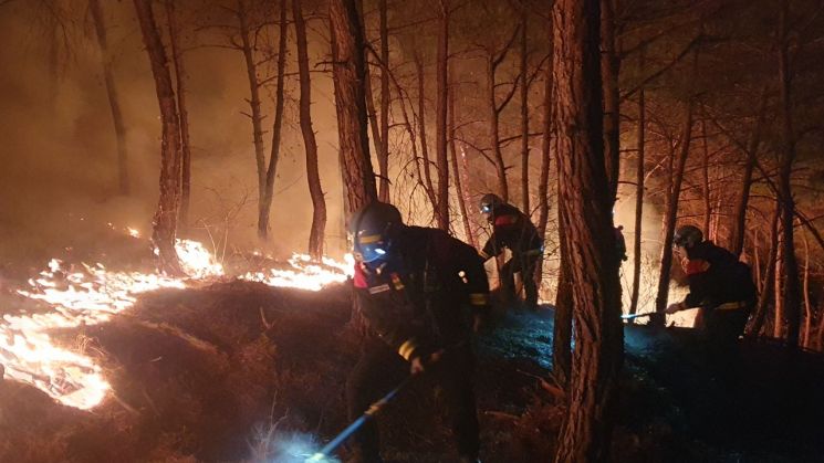 산불특수진화대가 경남 산청군 시천면 대형산불 현장에서 야간 진화 작업을 하고 있다. 산림청 제공
