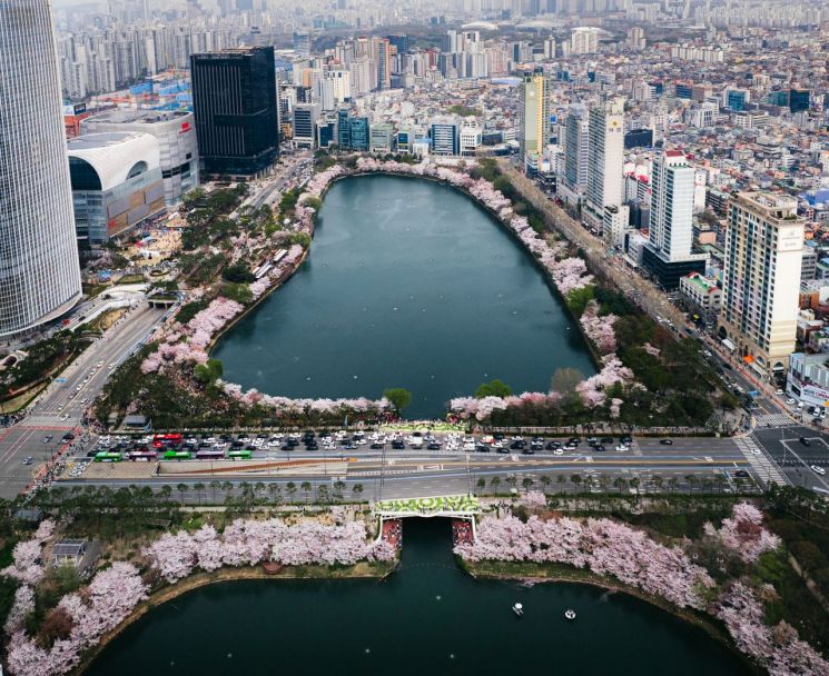 송파구 석촌호수서  '2025 호수벚꽃축제' 4월 2~6일 개최