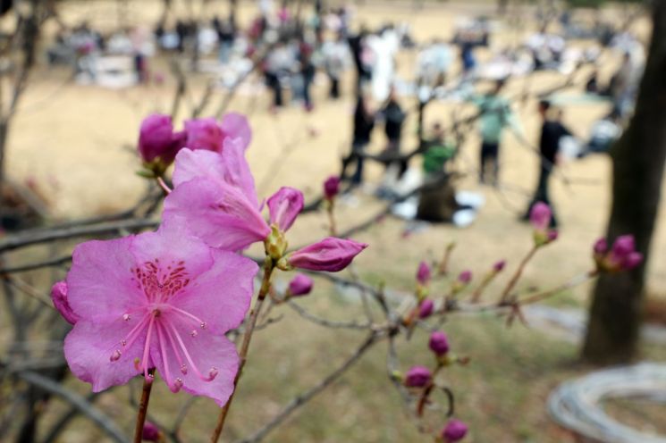 28일 광주·전남은 오전까지 구름 많다가 오후부터 맑아지겠고, 낮 최고기온은 14도 안팎으로 평년 수준을 회복할 것으로 예보됐다. 기상청은 비가 그친 뒤 북쪽에서 찬 공기가 내려오면서 바람이 강하게 불고 기온이 떨어져 쌀쌀하겠다며 건강 관리에 유의할 것을 당부했다. 연합뉴스