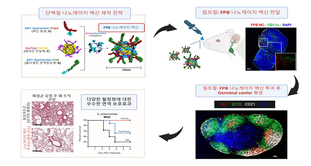 이준행·이시은 전남대 연구팀, 점막백신 기술 학술지 게재