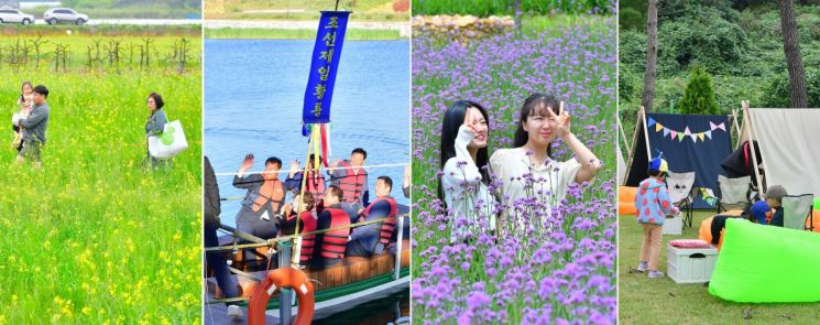 유채꽃부터 막걸리까지, 작지만 깊은 장성 마을 축제들
