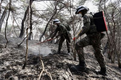 軍, 산불진화에 장병 600여명·헬기 49대 투입