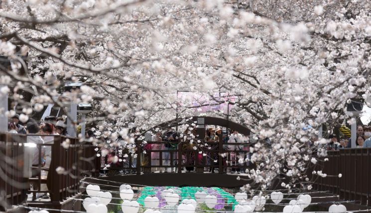 [내일 날씨] 맑지만 서늘한 광주·전남…일교차 주의