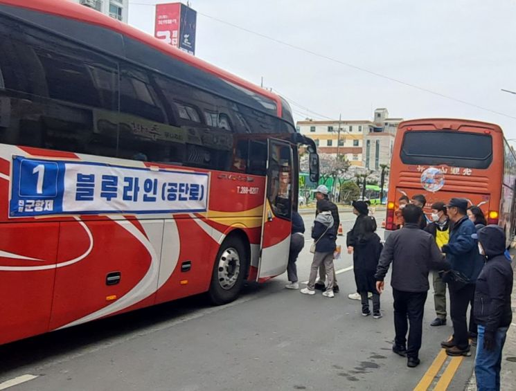 창원특례시, "진해군항제 벚꽃 구경은 대중교통이 최고"
