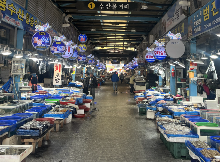 [르포] 고등어 한 마리에 1만원?…시장도 숨 고른다