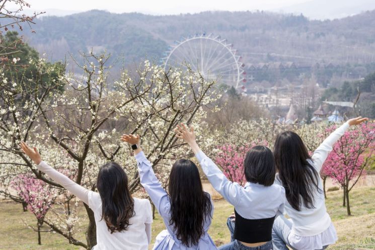 매화가 만발한 에버랜드 하늘정원길. 삼성물산 리조트부문