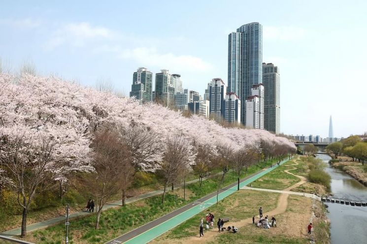 강남구, 양재천 벚꽃길에 예술작품·경관조명 설치