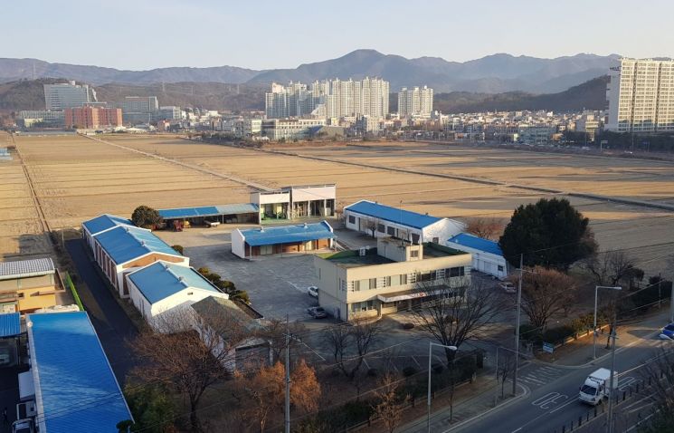 경북도, 농산물 직거래 장터 '바로마켓' 오픈…신선 농특산물 최대 20% 할인