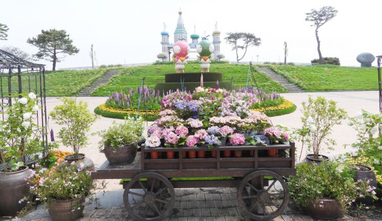 함평군 "나비대축제 '하늘보리정원' 보러오세요"
