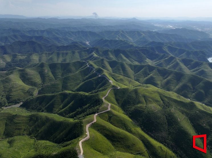 안동시, 산불예방 위해 산림 전 지역 입산통제…강력한 행정명령 발령