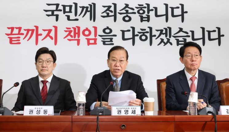 권영세 "개헌안 마련해 국민투표 부치는 방안 추진"