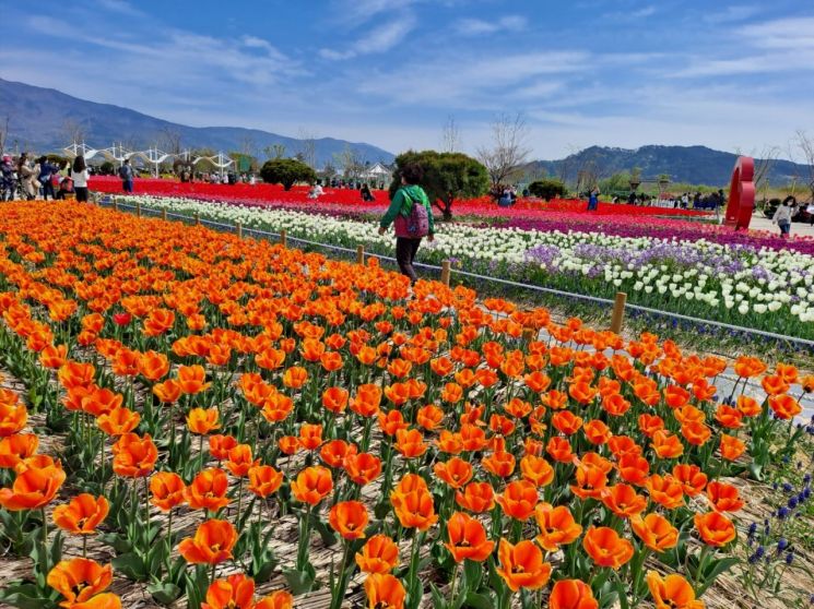 양산 황산공원, ‘물금비전’ 계획대로 순항