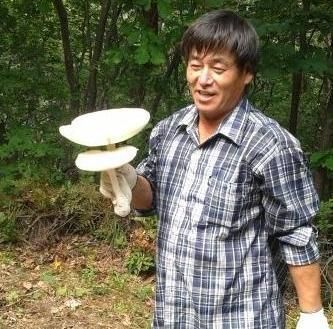 계단서 쓰러진 50대 가장, 장기기증 6명에 '새 삶' 선물하고 떠나