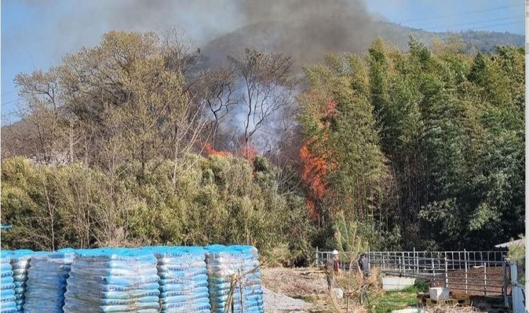 경주 안강서 산불…산림 0.6㏊ 태우고 55분 만에 진화