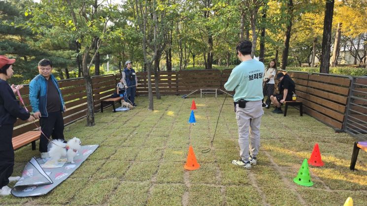 “삐뚤어진 犬 행동교정”…강서구, 선착순 무료교육
