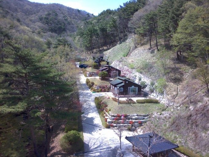 함양군 산삼자연휴양림 사진