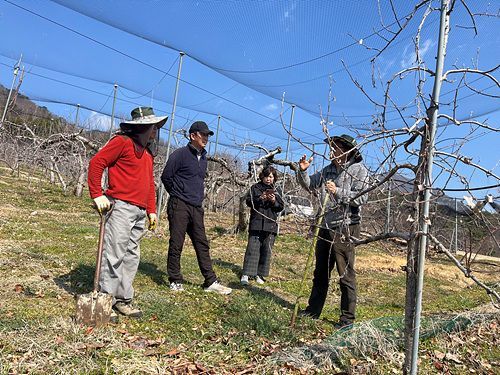 산청군, 과수농가 안정 생산…병해충 관리 시스템 구축 지원