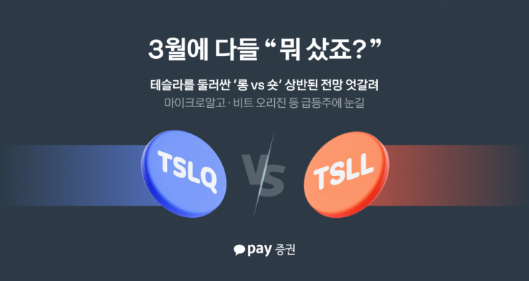 테슬라 숏 친 2030, 성장주 담은 4050