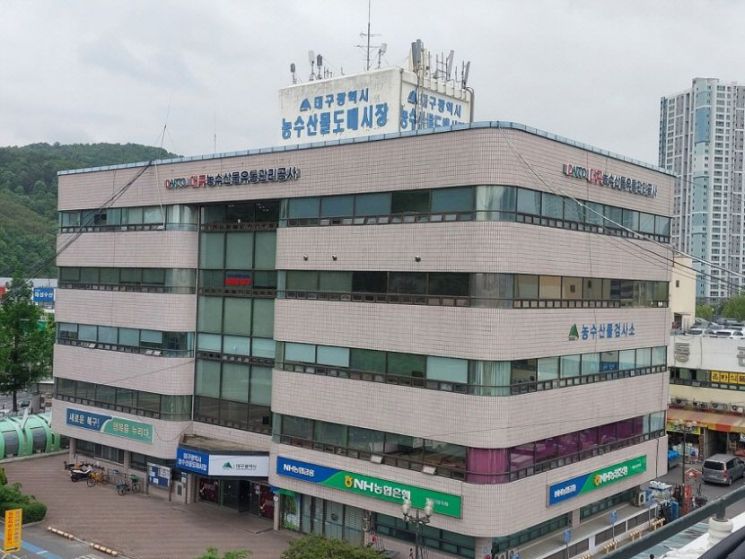 대구농수산물유통공사, 경력·신입 직원 10명 신규 채용…지역제한 철폐 전국 문호 개방