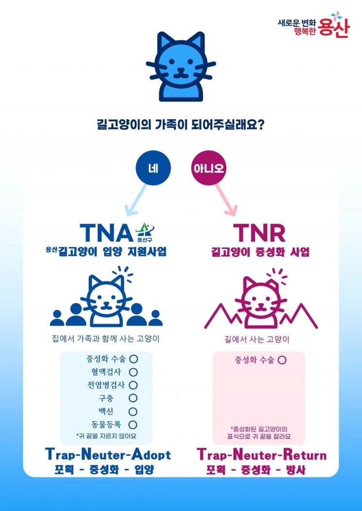 용산 길고양이 입양 지원 사업(TNA). 용산구 제공.