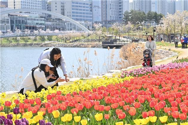 미사호수공원을 찾은 시민들이 형형색색 활짝 핀 튤립을 감상하며 봄의 정취를 즐기고 있다. 하남시 제공
