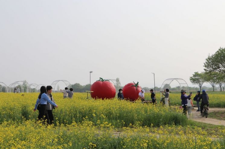 지난해 축제 모습