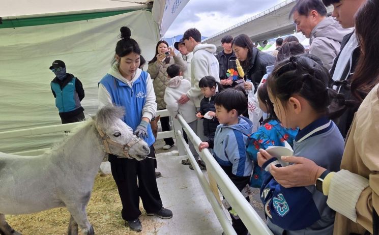 강서 낙동강 30리 벚꽃축제의 렛츠런파크 홍보관에서 어린이들이 미니호스를 보고 있다. 렛츠런파크 부산경남 제공