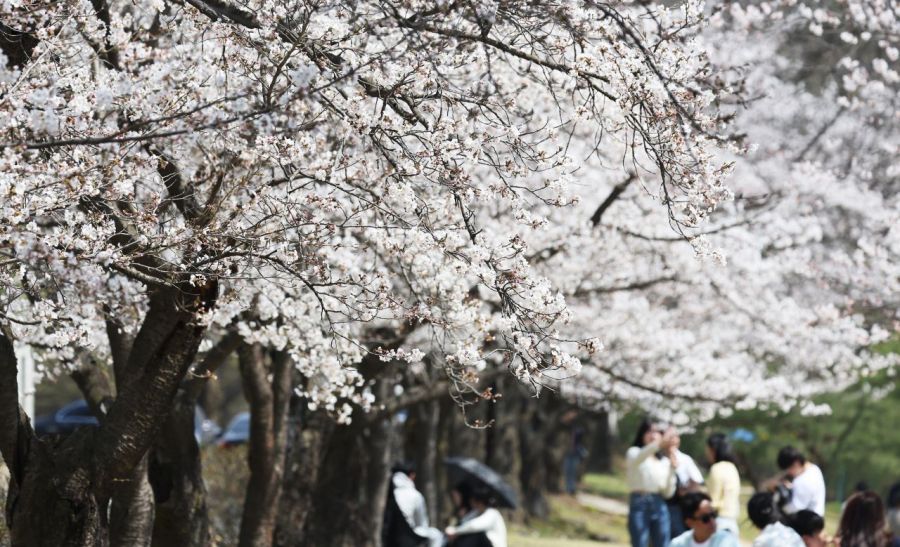 연합뉴스