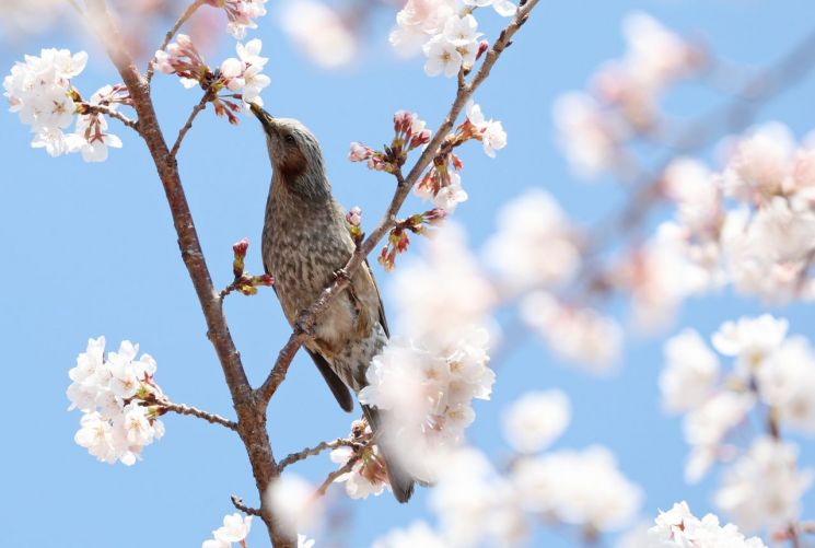 연합뉴스