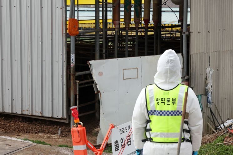 무안 돼지농장서 구제역 확진…전남도 “확산 경계”