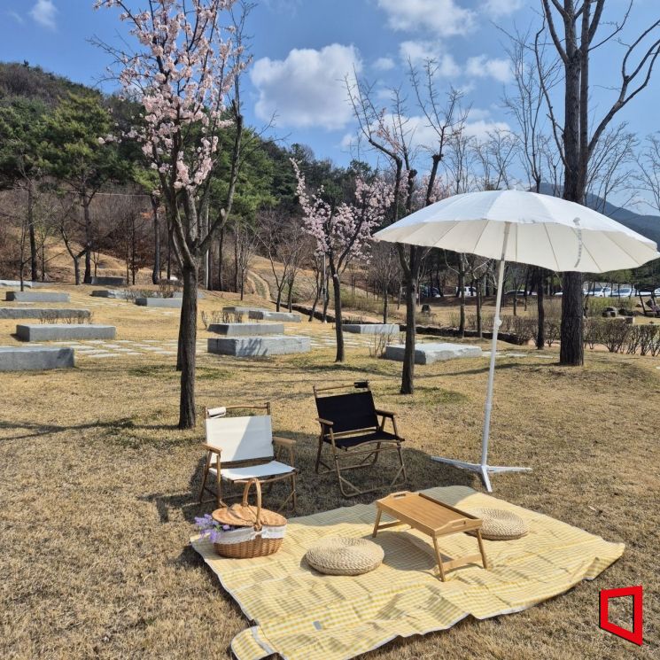 구미 신라불교초전지, 봄맞이 피크닉 세트 대여…시민 누구나 무료로 즐긴다 즐긴다