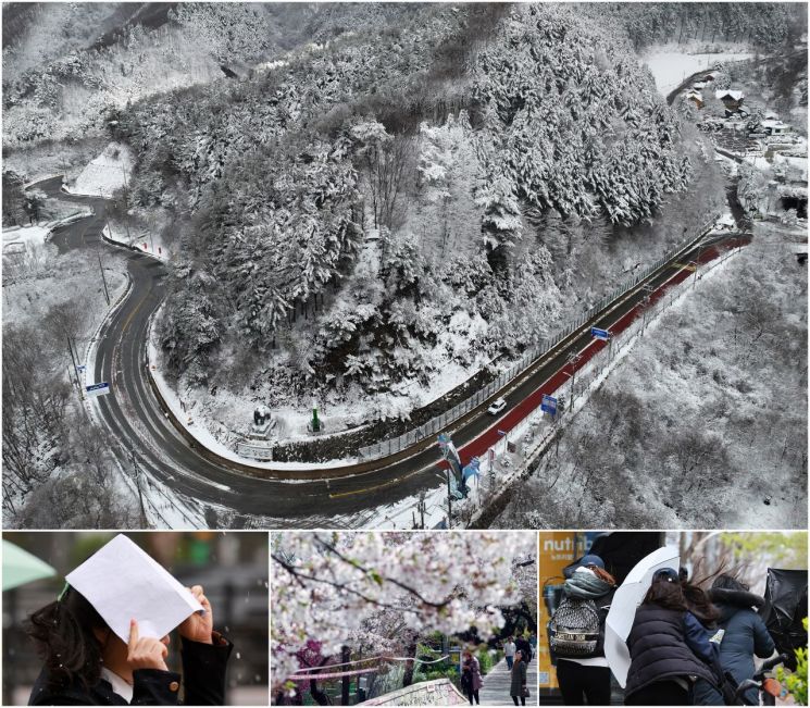 월요일 전국 비바람…강원산지는 많은 눈 예보