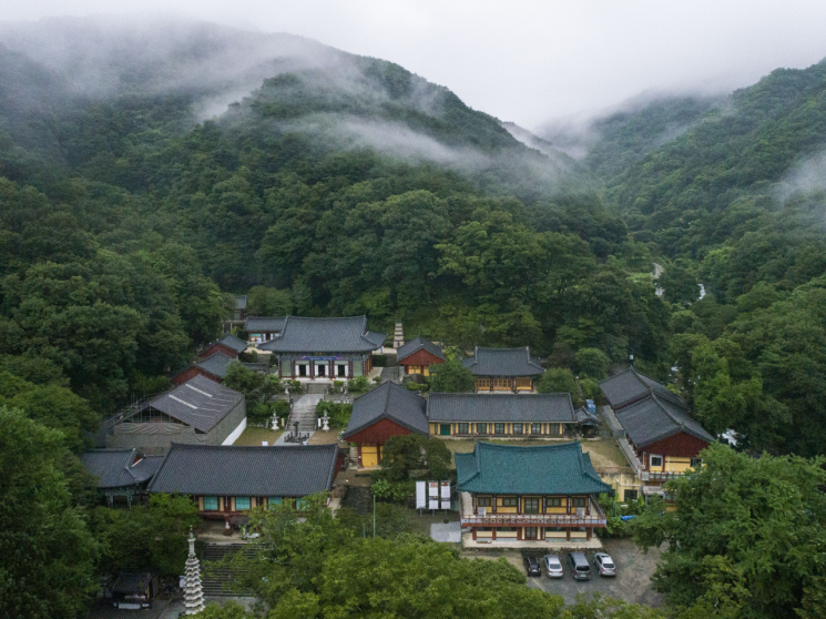 '나는 절로, 쌍계사' 1332명 중 男女 24명 추렸다…"인연이 연인되길" 
