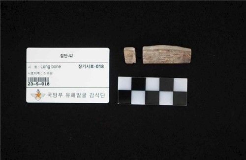 "아직 어린데" 만류에도 6·25참전 故주영진 일병, 가족품으로