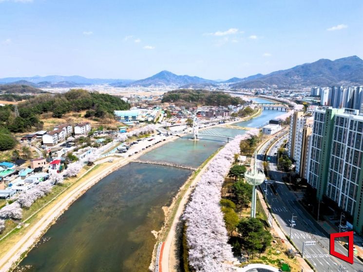 상주시, 포시즌가든 봄꽃 만개…도심 속 힐링 명소로 부상