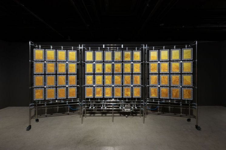 "지금 여기, 이 순간을 느끼다"...작품 '소멸'에 주목한 백정기 'is of' 展