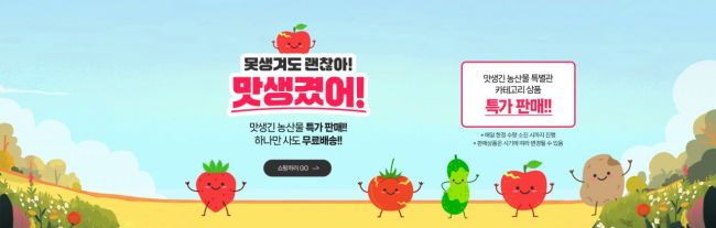 전북도, 21일부터 '못난이 토마토' 할인 판매