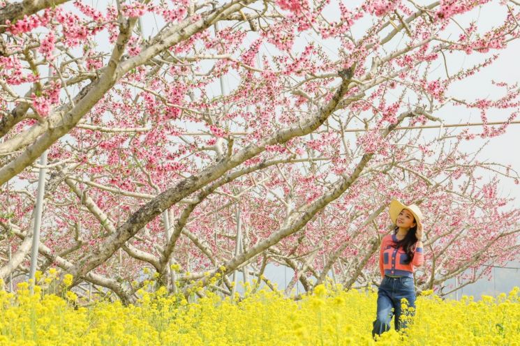[주말 날씨] 광주·전남 주말 흐리고 비…일요일 맑음